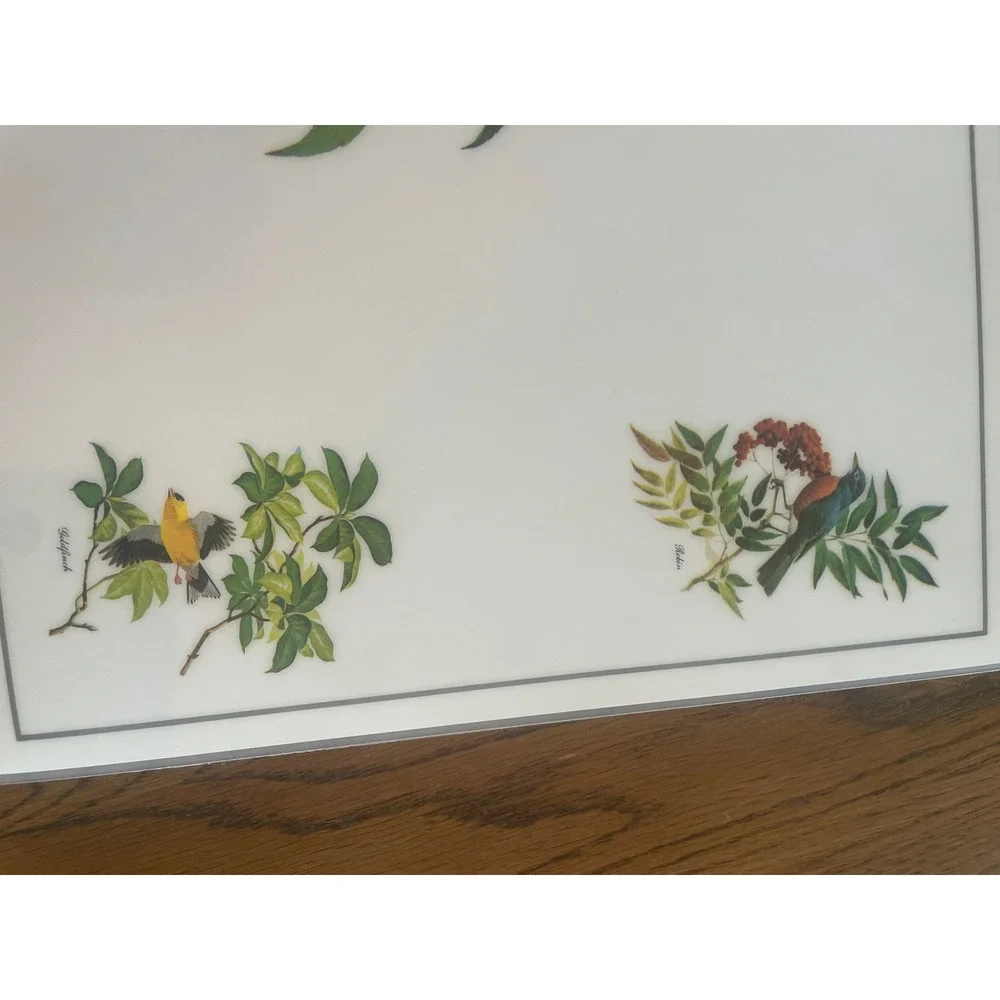 Vintage Roger Tory Peterson Songbird Placemats Set of 6 Nature Bird Art Decor